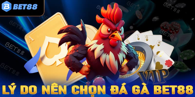 Nền tảng giải trí mang lại nhiều lợi ích cho người chơi với hệ thống bảo mật an toàn 